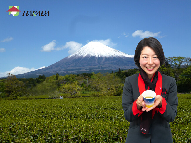 FDA 期間限定で静岡県産茶葉を使用した「新茶」を提供しています