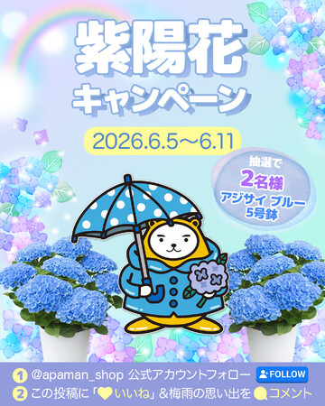 6月限定| べあ~君 紫陽花キャンペーン2026開催中!