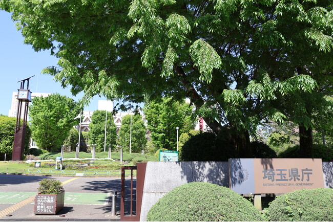 【埼玉県】夏のスタートは県営公園で!7月の県営公園で遊ぼう