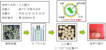 森下仁丹＜４５２４＞（東２）は、シームレスカプセル化技術の応用開発に積極的に取り組んでおり、非食用分野に於ける研究開発の成果として、この度バイオカプセル化種子（人工種子）に関する国内特許を取得したと発表。