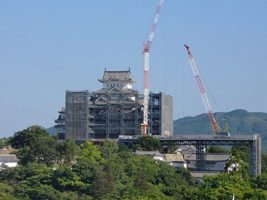 鹿島＜１８１２＞（東１）は２９日、前後場ともジリ高の相場となり、後場２２１円（５円高）まで上げて終値も２２０円と堅調。急反発で出直り、１２月９日につけた戻り高値２２６円回復をうかがわせる相場となった。ＰＢＲ０．８倍台で買い安心感感があるとの指摘があった。