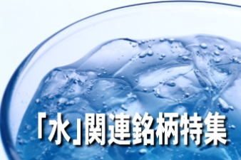 アジアや中南米など、新興国における人口の増加、工業化の進展、生活水準の向上などによって、世界的に水需要が増加している。水は農業や畜産業にも大量に使用される。その一方では、世界的に水資源の不足や水質の汚染が深刻化しているため、世界の水ビジネス市場の拡大が予測されている。