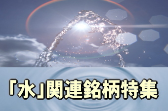 水ビジネスの関連領域としては、上下水道のインフラ・高度処理設備(上下水道菅、浄水場、下水処理場)、海水淡水化プラント、産業排水の処理・再利用設備、工業用純水製造装置、下水汚泥の再資源化設備、河川・湖沼などの水質浄化設備、農業用水・灌漑設備、および水中ポンプ・水処理膜(逆浸透膜、精密ろ過膜など)・薬品・吸着剤・微生物などの部材、上下水道の運営管理・料金徴収サービスなどがある。 水ビジネスの関連領域としては、上下水道のインフラ・高度処理設備(上下水道菅、浄水場、下水処理場)、海水淡水化プラント、産業排水の処理・再利用設備、工業用純水製造装置、下水汚泥の再資源化設備、河川・湖沼などの水質浄化設備、農業用水・灌漑設備、および水中ポンプ・水処理膜(逆浸透膜、精密ろ過膜など)・薬品・吸着剤・微生物などの部材、上下水道の運営管理・料金徴収サービスなどがある。