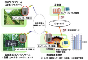 富士通＜６７０２＞（東１）は、農業生産法人「有限会社夢郷葡萄研究所（山梨県甲州市）」の所有するブドウ畑において、同社が開発したセンサーを用いた圃場データの収集・分析の実証実験を２０１１年６月より９月末まで実施する。
