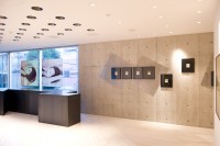ホンマタカシがポラロイドで表現した水原希子 - インスタントフィルム作品展開催