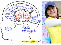 韓国のインターネットポータルサイトで、ガールズグループ「AFTERSCHOOL」（アフタースクール）のメンバ、ユイの脳構造が公開されて話題を呼んでいる。