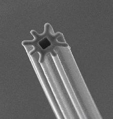 タコ足断面の軽量・多機能な高異型特殊断面繊維「オクタ」（画像提供：帝人ファイバー）
