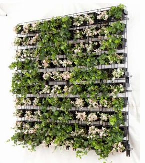 「グリーンファサード・ピクセルライト」の設置イメージ　撮影サイズ2m×2m（画像提供：東邦レオ）
