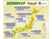 ウェザーニューズ 紅葉(いちょう)の見頃予想マップ(画像提供:ウェザーニュース)
ウェザーニューズ 紅葉(いちょう)の見頃予想マップ(画像提供:ウェザーニュース)