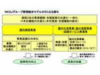 1プラットフォーム2ブランドのイメージ（画像提供：NKSJホールディングス）