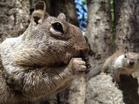 「iPhone 4S」で撮影した写真（レタッチはいっさいされていない）（写真提供：アップル・ジャパン）
