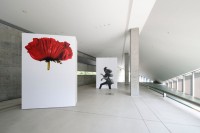 2人の天才によるクリエーションの集大成がここに！「アーヴィング・ペンと三宅一生 Visual Dialogue」展レポート