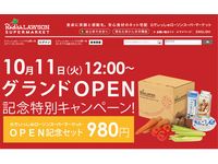 「らでぃっしゅローソンスーパーマーケット」のウェブサイト（画像：財経新聞社）