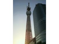 東京スカイツリー（写真：財経新聞社）
