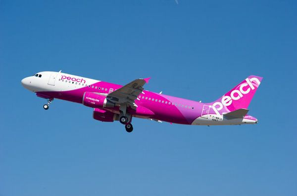 ペイントが完了したPeach初号機（機種：Airbus A320）（画像提供：ピーチ・アビエーション）