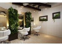 低コストで緑化が実現できるインテリアパッケージ『Healliing　Swiitch』の設置例（写真提供：東邦レオ）