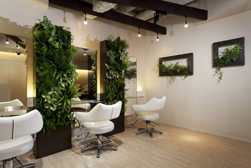 低コストで緑化が実現できるインテリアパッケージ『Healliing　Swiitch』の設置例（写真提供：東邦レオ）