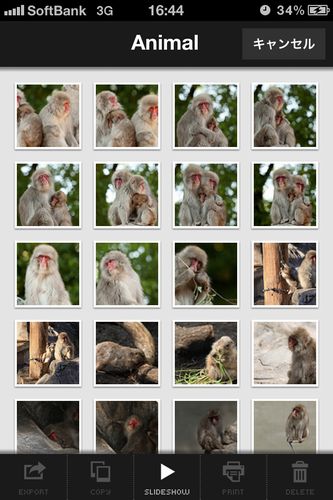 iPhoneアルバムアプリ「SuperAlbum」写真一覧（画像：Art＆Mobile）