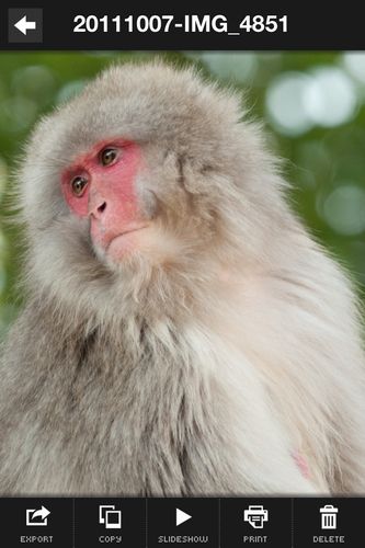 iPhoneアルバムアプリ「SuperAlbum」写真個別 （画像：Art＆Mobile）