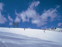 「だいくらスキー場」（写真提供：東武鉄道）
