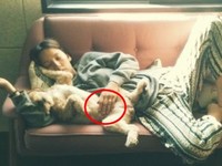 イ・ヒョリは19日、自分のツイッターに「ふん！ちっ！ぽんっ！」というコメント共に愛犬スンシムと昼寝をしている写真を公開した。写真＝イ・ヒョリのツイッターより