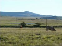 南アフリカにおける風力発電所の建設地（写真：住友商事）