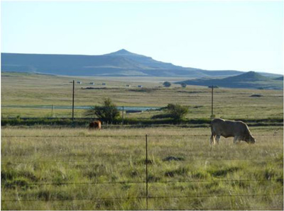 南アフリカにおける風力発電所の建設地（写真：住友商事）
