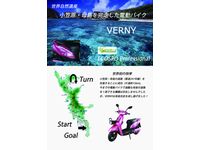 「VERNY」小笠原・母島完走（画像：エコスポ・プロフェッショナル）