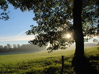 多くのビジネスパーソンは、出世していくにつれ、興味深い事を経験します。それは、昇進するたびに、やらなければならないことはさらに増えますが、仕事をいつどのようにするかという点については、より自由度が高くなるということです。