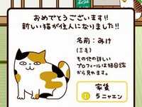 株式会社エイブルは初のiPhone向けアプリケーション『猫の大家さん』の提供を開始しました。自由きままな猫たちを可愛がって遊んで楽しむ育成ゲームアプリです。