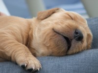 私のクライアントで“息抜き”について考える人はほとんどいません。皆さん、生産性と関わりがないことは避けるからです。気楽にゆっくりすることは、より多くこなすことと対極ですから、当然かもしれません。