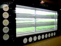 小型植物工場(写真:三菱重工業) 小型植物工場(写真:三菱重工業)