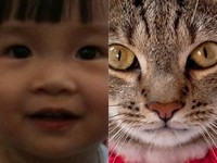 このアプリはカメラで撮影した写真を２つ合成するというアプリです。