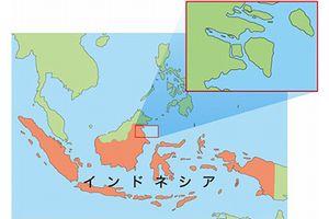 双日がエビ養殖を行うインドネシアのタナテドン地域(画像:双日) 双日がエビ養殖を行うインドネシアのタナテドン地域(画像:双日)