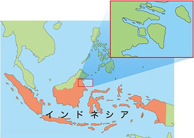 双日がエビ養殖を行うインドネシアのタナテドン地域（画像：双日）