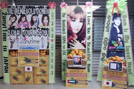 2NE1の韓国内外のファンが、ツアーを開始した2NE1にマンゴーの木を贈り応援の気持ちを表した。写真=ドリーミー
