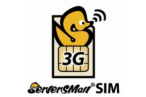 「ServersMan SIMロゴマーク」（画像：DTI）