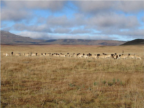 プロジェクト予定地（写真：住友商事）