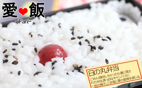 リアルな質感が特徴の食品サンプル型iPhone 5用ケース「iPhone 5専用食品サンプル愛飯カバー」