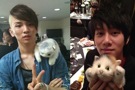 ポップアーティスト、ナンシー・ラングの猫“ココシャネル”の浮気性が明らかになった。