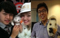 ポップアーティスト、ナンシー・ラングの猫“ココシャネル”の浮気性が明らかになった。 ポップアーティスト、ナンシー・ラングの猫“ココシャネル”の浮気性が明らかになった。