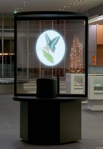 スクリーン前方から見た映像（写真：大日本印刷）