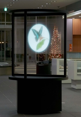 スクリーンおよびプロジェクターを180度回転させて後方から見た映像(写真:大日本印刷) スクリーンおよびプロジェクターを180度回転させて後方から見た映像(写真:大日本印刷)