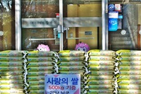 2PM（ツーピーエム）ニックンとそのファン達が、愛の米500㎏を子供たちのために寄付した。写真＝ドリーミー