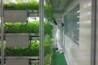 三菱化学は4日、植物工場システムを香港のベジタブル・マーケティング・オーガナイゼーション（VMO）に販売したと発表した。写真は、三菱化学が公開した植物工場の外観と栽培中のベビーリーフ。