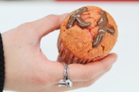 韓国男性グループTEENTOP(ティーントップ)がバレンタインデーを迎え、セルフPRに出た。写真= TEENTOP公式me2day