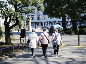 平成24年版高齢社会白書によると、日本における65歳以上の高齢者人口は過去最高の2975万人(前年2925万人)となり、総人口に占める割合(高齢化率)が23.3%となっている。