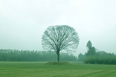 太陽と星空のサーカスが夏を演出 - 星空の下で大自然を感じるキャンプ場 「一番星ヴィレッジ」