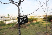 植林事業を手掛けるソーシャルベンチャーのツリープラネットが22日、少女時代ファンたちとの共同作業により“ティファニーの森”“少女時代の森”“ヒョヨンの森”を造成し、銘文掲示式典を行ったと明らかにした。写真提供:ツリープラネット 植林事業を手掛けるソーシャルベンチャーのツリープラネットが22日、少女時代ファンたちとの共同作業により“ティファニーの森”“少女時代の森”“ヒョヨンの森”を造成し、銘文掲示式典を行ったと明らかにした。写真提供:ツリープラネット