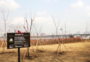 東方神起の森（写真提供：ツリープラネット）